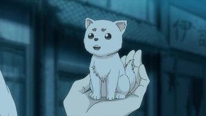 Gintama 6. epizoda