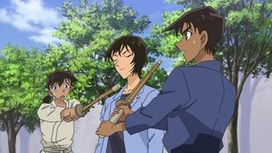 Detektiv Conan 917. epizoda