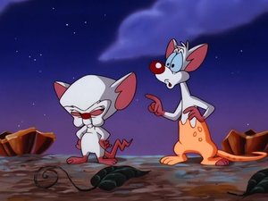 Neuvěřitelná dobrodružství Rudly a Koumáka 25. epizoda