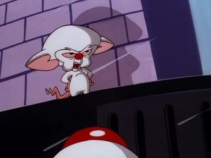 Neuvěřitelná dobrodružství Rudly a Koumáka 49. epizoda