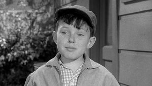 Leave It to Beaver 32. epizoda