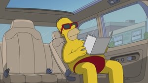 Simpsonovi Řidič na baterky