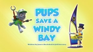 Tlapková patrola Tlapky zachraňují Windy Bay