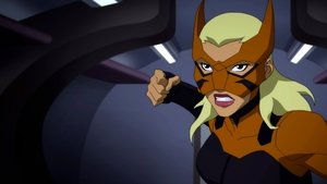 Young Justice 8. epizoda