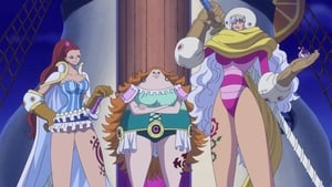 One Piece 867. epizoda