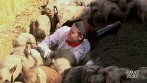 Gordon Ramsay: Pekelná kuchyně 5. epizoda