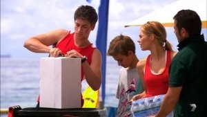Home and Away 96. epizoda