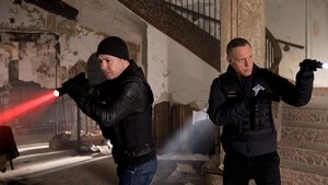 Policie Chicago Vítejte ve válce