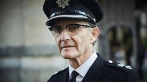 Detektiv Endeavour Morse Autonehoda