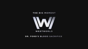 Westworld 10. epizoda
