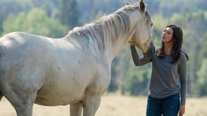 Ranč Heartland 10. epizoda