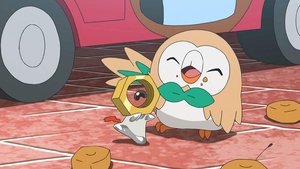 Pokémon Máte Meltana