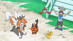 Pokémon Nepřehlížejte malého Stuffula!