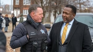 Policie Chicago Tohle město