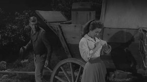 Wagon Train 28. epizoda