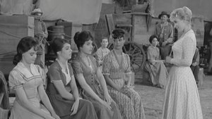Wagon Train 11. epizoda