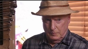 Home and Away 22. epizoda