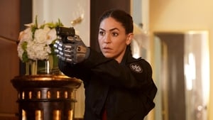 Agenti S.H.I.E.L.D. Okno příležitosti