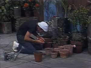 El Chavo del Ocho 9. epizoda