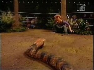 Celebrity Deathmatch 11. epizoda