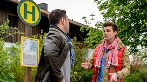 Sturm der Liebe 133. epizoda