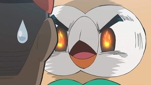Pokémon Nápodoba je nejupřímnější forma strategie!