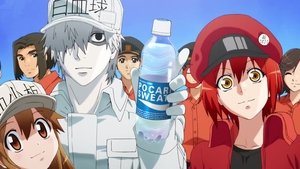 Hataraku saibou 7. epizoda