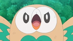 Pokémon Zápas ve vzduchu!