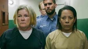 Orange Is the New Black A hnědá je nová oranžová