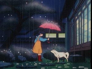 Ranma ½ 158. epizoda