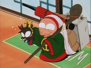 Ranma ½ 28. epizoda