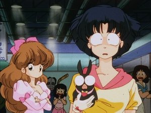 Ranma ½ 25. epizoda