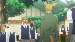 BEASTARS Největší zvířata na akademii