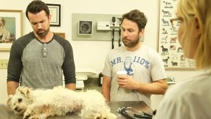 It's Always Sunny in Philadelphia 9. epizoda