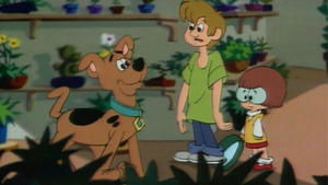 Štěně jménem Scooby-doo 13. epizoda