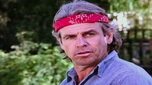 Knots Landing 20. epizoda