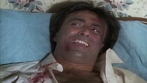 Knots Landing 17. epizoda