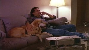 Knots Landing 9. epizoda