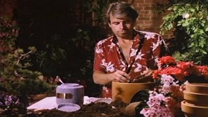 Knots Landing 3. epizoda