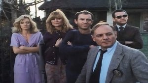 Knots Landing 14. epizoda