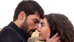 Hercai 13. epizoda