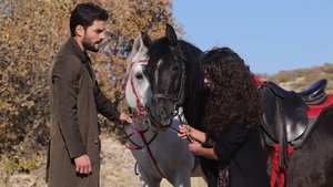 Hercai 10. epizoda