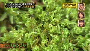 Nogizaka Under Construction 9. epizoda