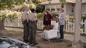 Grace a Frankie Otloukánek