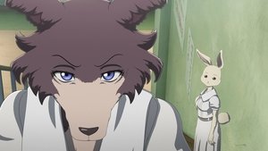 BEASTARS Po bouři