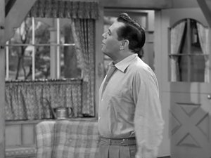 I Love Lucy 27. epizoda