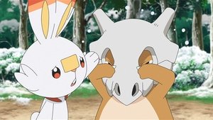 Pokémon Sněžný den plný hledání