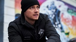 Policie Chicago Domácí násilí