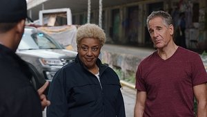 Námořní vyšetřovací služba: New Orleans Proměněná žena