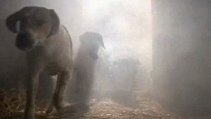 Are You Afraid of the Dark? 5. epizoda